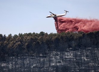 Hunderte Menschen fliehen vor neuem Waldbrand in Südfrankreich