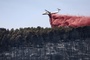 Hunderte Menschen fliehen vor neuem Waldbrand in Südfrankreich