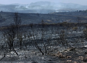 Spanien: Evakuierung mehrerer Gemeinden wegen Waldbrands nahe Madrid