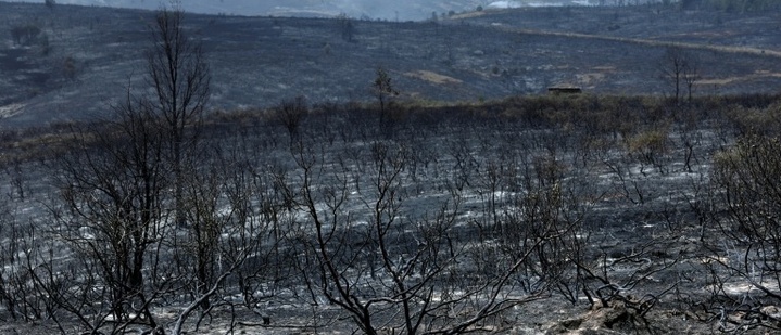Nach Evakuierung wegen Waldbrandes bei Madrid: Bewohner können zurück nach Hause
