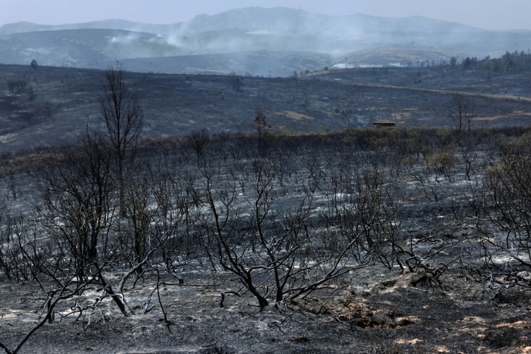Spanien: Evakuierung mehrerer Gemeinden wegen Waldbrands nahe Madrid