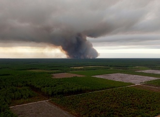 12.000 Menschen wegen Waldbrands in Touristenregion bei Bordeaux evakuiert