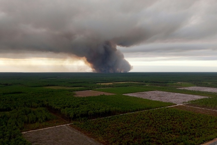 Waldbrände in Südeuropa: 20.000 Menschen an französischer Atlantikküste evakuiert