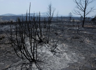 Waldbrand außer Kontrolle: 3500 Menschen in Gemeinde westlich von Madrid evakuiert