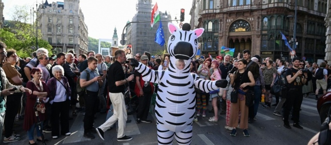 Ungarns Umweltminister kündigt Untersuchung zu Zebras von Orban-Vertrautem an