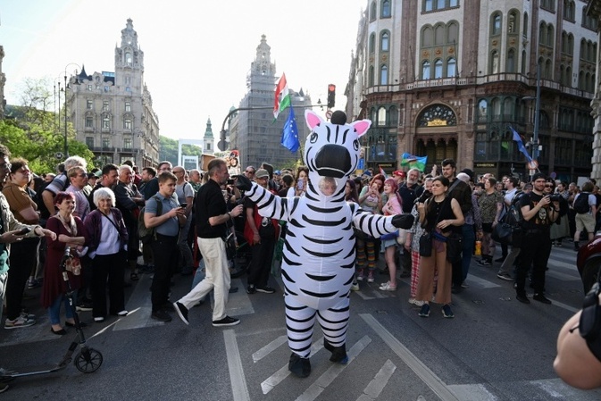 Ungarns Umweltminister kündigt Untersuchung zu Zebras von Orban-Vertrautem an