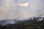 Satellitenbilder: Rauchwolken der Brände in Madrid und Bordeaux verbinden sich
