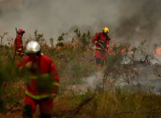 Brände in Frankreich: Flammen kommen bis 15 Kilometer an Großraum Bordeaux heran