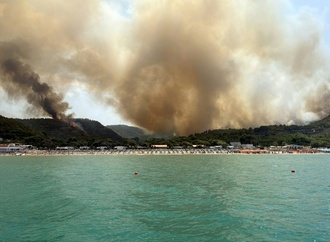 Waldbrand an italienischer Adriaküste: Hunderte Menschen mit Schiffen evakuiert