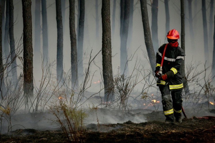Behörden: Waldbrandsituation im Südwesten Frankreichs 