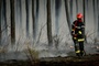 Behörden: Waldbrandsituation im Südwesten Frankreichs ''stabil''