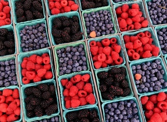Noroviren in Tiefkühlbeeren: Verbraucherschützer fordern Warnhinweise