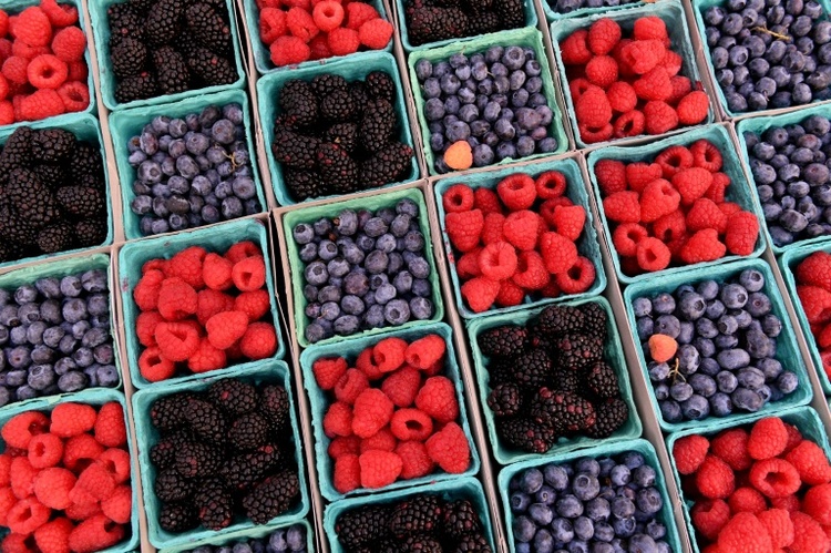 Noroviren in Tiefkühlbeeren: Verbraucherschützer fordern Warnhinweise