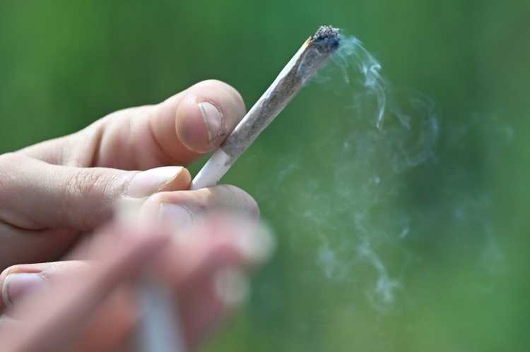 Verwaltungsgericht: Starker Cannabiskonsum begründet Zweifel an Fahreignung