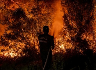 Türkei meldet landesweit 115 Waldbrände - 110 davon unter Kontrolle
