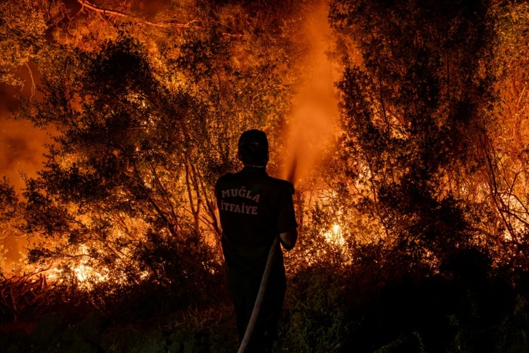 Türkei meldet landesweit 115 Waldbrände - 110 davon unter Kontrolle