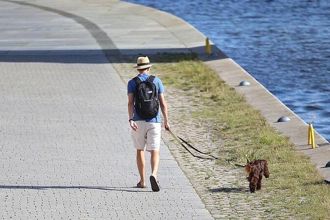 DWD: Südwesten erlebt im Juli extreme Hitze und Trockenheit