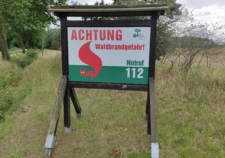 Waldbrand-Experte empfiehlt verstärkten Mischwaldanbau