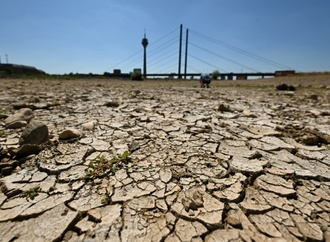 Rhein-Niedrigwasser errreicht in Köln neuen Tiefststand