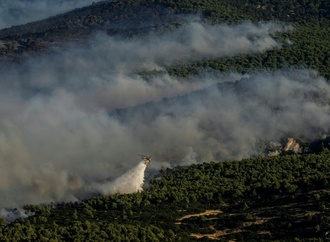 Mehr als 12.000 Hektar Land durch Waldbrände in Griechenland zerstört