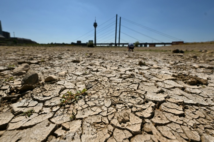 Niedrigwasser: Rheinpegel sinken an mehreren Orten auf Tiefststand