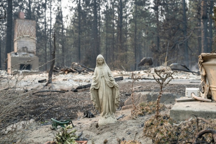 Waldbrände: Rund 65.000 US-Bürger müssen Häuser verlassen