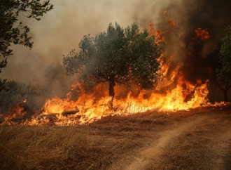 Griechenland: Wind in Brandgebieten lässt nach - Löschflugzeuge erneut im Einsatz
