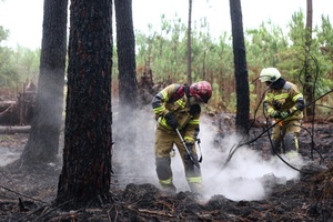 Ukrainische Feuerwehrleute helfen Feuerwehr nach Waldbrand nahe Bordeaux