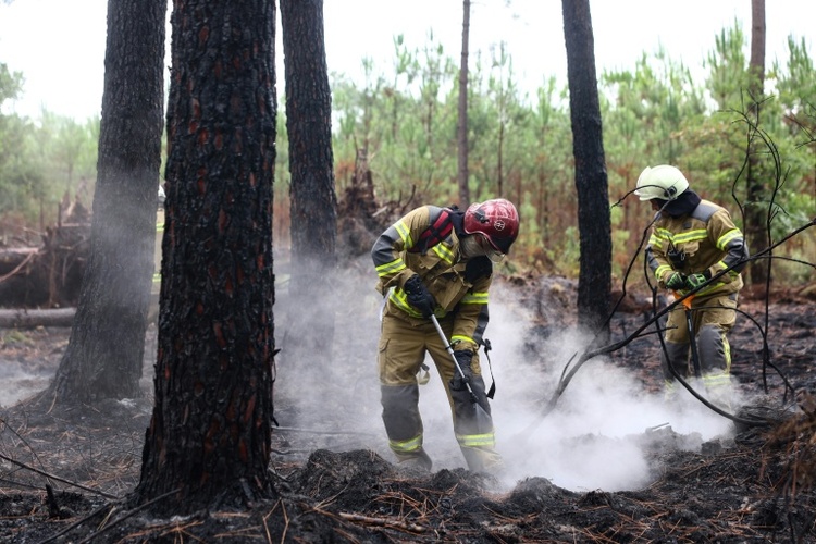 Ukrainische Feuerwehrleute helfen Feuerwehr nach Waldbrand nahe Bordeaux