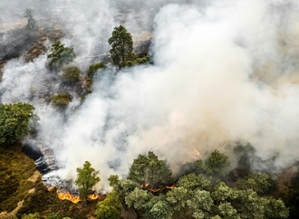 Waldbrand im Südosten der Niederlande nahe NRW ausgebrochen