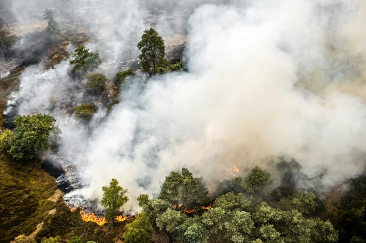 Waldbrand im Südosten der Niederlande nahe NRW ausgebrochen