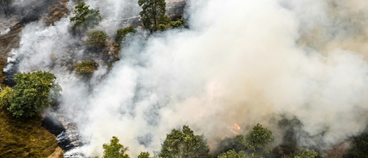 Waldbrand im Südosten der Niederlande nahe NRW ausgebrochen