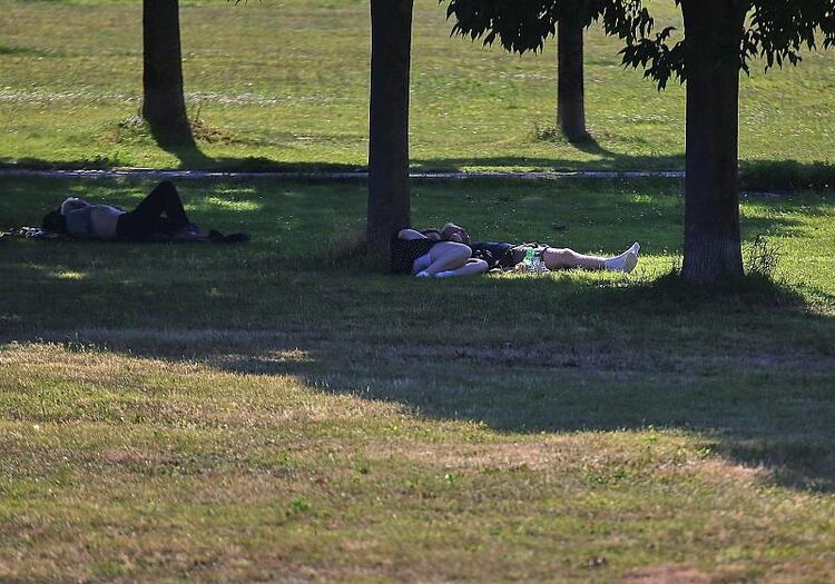 Grüne fordern besseren Hitzeschutz für Deutschland