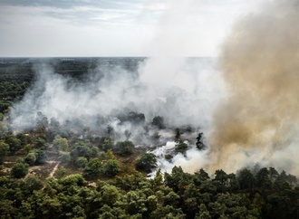 Waldbrand breitet sich in Naturschutzgebiet im Südosten der Niederlande aus