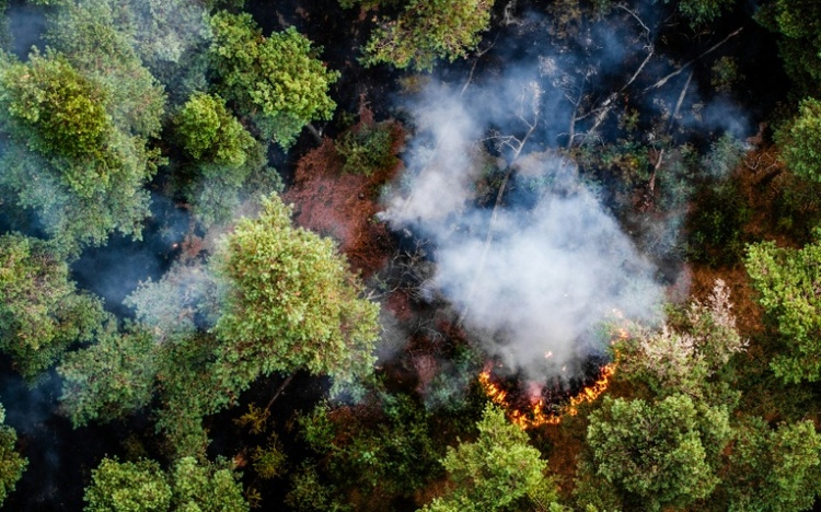 Feuerwehrleute und Hubschrauber bekämpfen Brand in Naturschutzgebiet in Niederlanden