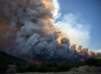 U-Haft gegen Elektro-Unternehmer nach Waldbrand nahe Athen