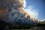 U-Haft gegen Elektro-Unternehmer nach Waldbrand nahe Athen