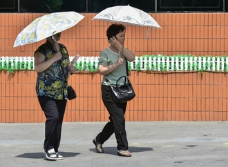 Hitzewelle in Nordkorea: Staatsmedien empfehlen Hundefleischsuppe und Ginsengbrühe