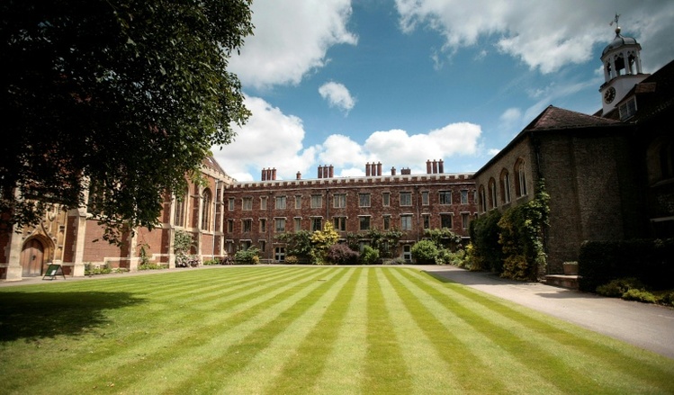Uni Cambridge prüft nach Plagiatsvorwürfen gegen Star-Professor Einstellungsregeln