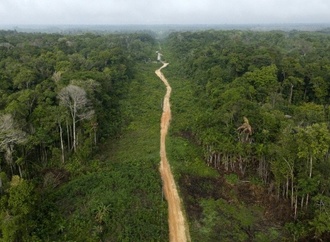 Abholzung im Amazonas auf niedrigstem Stand seit einem Jahrzehnt