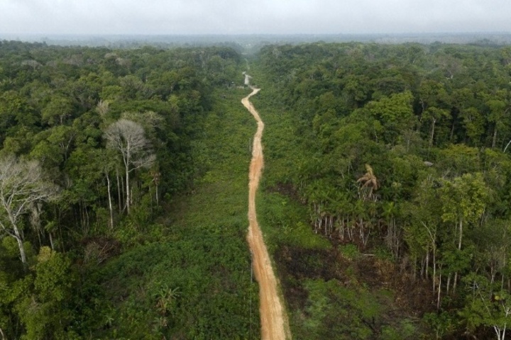 Abholzung im Amazonas auf niedrigstem Stand seit einem Jahrzehnt