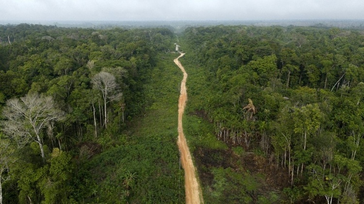 Abholzung im Amazonas auf niedrigstem Stand seit einem Jahrzehnt