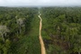 Abholzung im Amazonas auf niedrigstem Stand seit einem Jahrzehnt