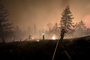 Waldbrand in Kanada: Notstand in British Columbia ausgerufen - 20.000 Menschen evakuiert