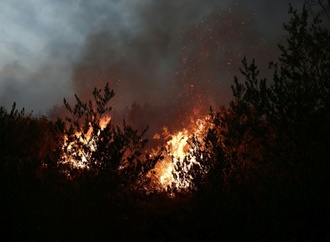 Neuer Waldbrand in Südfrankreich: Mehr als 200 Feuerwehrleute im Einsatz