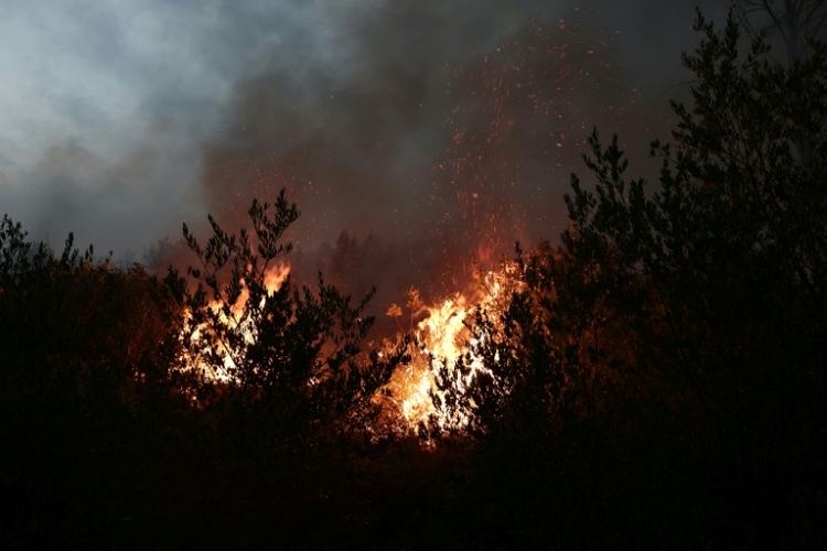 Neuer Waldbrand in Südfrankreich: Mehr als 200 Feuerwehrleute im Einsatz