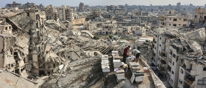 Datenbank: 2025 starben weltweit 350 humanitäre Helfer - 186 davon im Gazastreifen