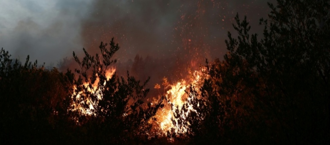 Neuer Waldbrand in Südfrankreich: 270 Feuerwehrleute und vier Löschflugzeuge im Einsatz