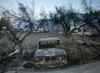 Erneut Waldbrand nahe Athen ausgebrochen - Dutzende Feuerwehrleute im Einsatz