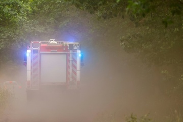 Zahlreiche Waldbrände in Deutschland - Anwohner in Südhessen sollen Wasser sparen